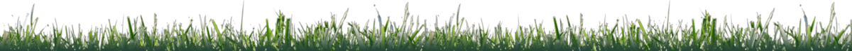 landscape-maintenance-37